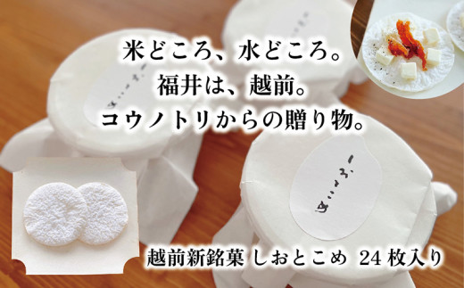 越前新銘菓 しおとこめ　24枚入り
