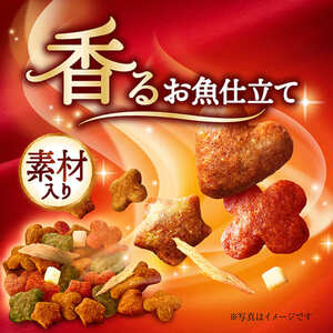 銀のスプーン 三ツ星グルメ 香るお魚仕立て 素材入り セット [ お魚レシピ 鶏ささみレシピ お魚・鶏ささみレシピ 各2箱 ］ ペットフード キャットフード 猫のごはん 猫用フード 猫 ペット 小分け