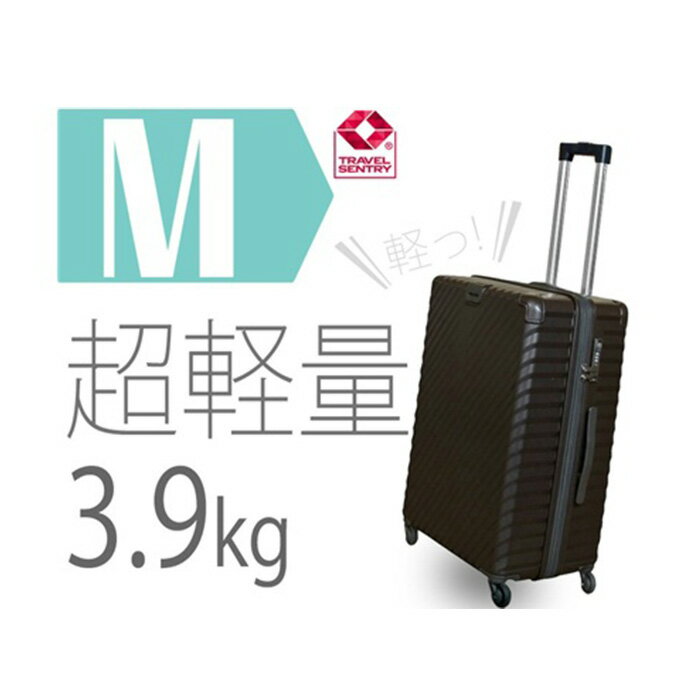 【ふるさと納税】TOMAXライトキャリー中型ブラック 3.9kg ／ 中型キャリー 旅行スーツケース 4輪キャスター TSAロック 大容量収納 家族旅行向け トラベルグッズ ポケット付き 出張旅行兼用 軽量ボディ ロングステイ向け ホテル宿泊旅行用 キャスターバッグ 厚木市