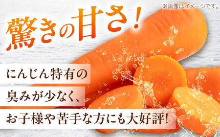 【先行予約】 雪の下にんじんと越冬じゃがいもセット 計15kg [BPAM035] 野菜セット