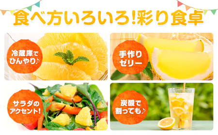 先行予約 河内晩柑 約 3 ～ 4kg 晩柑 《4月上旬-5月上旬頃出荷》 安永小岱山みかん園