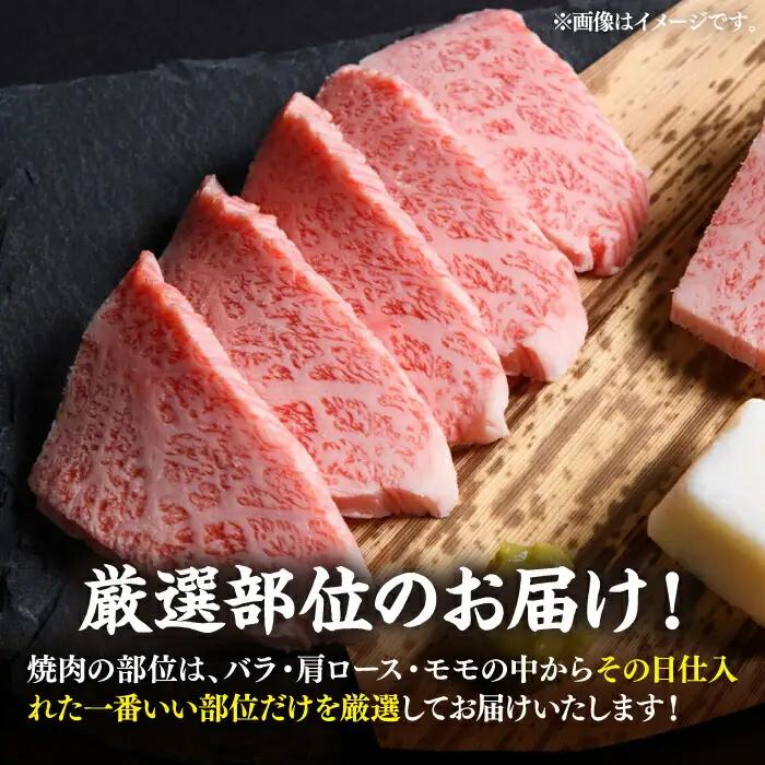 博多和牛 焼き肉 500g VBB002 牛肉 焼き肉 冷凍