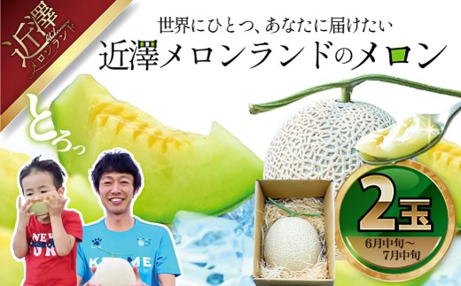 【先行予約】メロン 2玉入り（1玉約1.4kg～1.8kg）青肉 〈2027年6月中旬～7月中旬頃発送〉メロン めろん マスクメロン 舐瓜 果物 くだもの フルーツ デザート 旬 ハウス栽培【株式会社とさもん】[BQAE027]