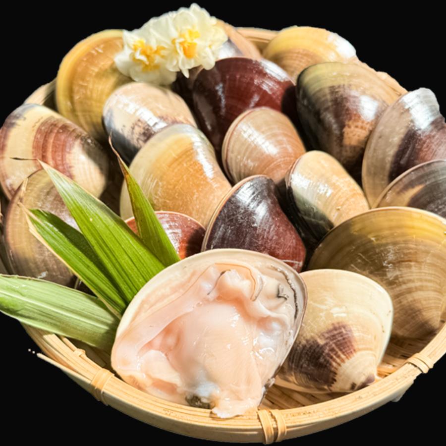 ＜岬水産＞天然「はまぐり」（中サイズ）500gx2(計1kg)