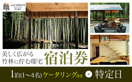 and FOREST勝浦 竹の離れ 宿泊券 1～4名 1泊 ケータリング付き 特定日 株式会社タスマニアンプロジェクト《30日以内に出荷予定(土日祝除く)》千葉県 勝浦市 宿泊券 サウナ付き