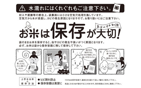 【R7年産】九州のこだわり「にこまる」玄米 5kg / 米 こめ お米 おこめ 玄米 げんまい にこまる ニコマル 長崎県産 / 諫早市 / 上島農産[AHAS013]