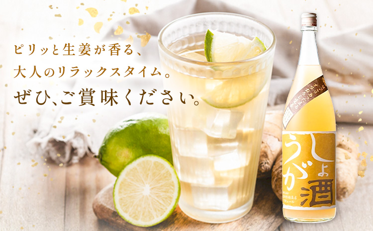 酒 しょうが酒 生姜 お酒 720ml 酒のねごろっく《2025年11月上旬-2026年4月末頃に出荷予定(土日祝除く)》和歌山県 岩出市 お酒 さけ アルコール しょうが 日本酒 お取り寄せ