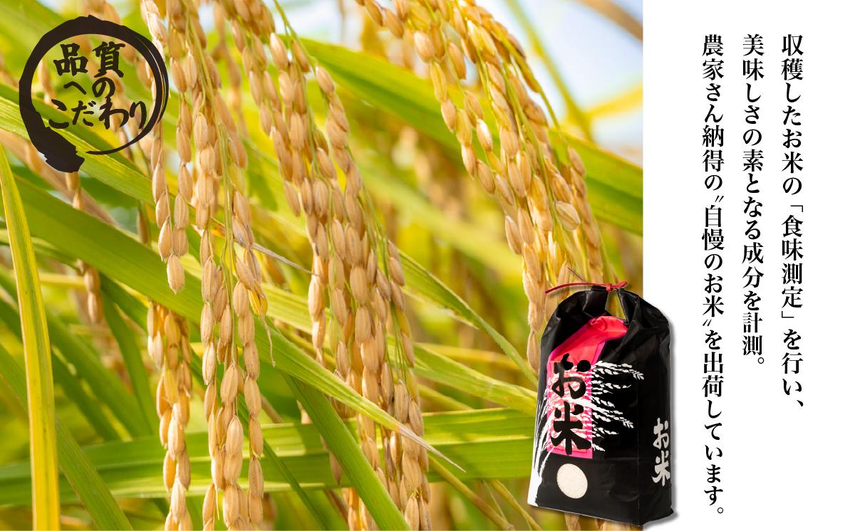 精米 にじのきらめき 5kg 茨城県下妻市産 【 米 お米 白米 ごはん こめ にじのきらめき 令和7年産 茨城県産 】