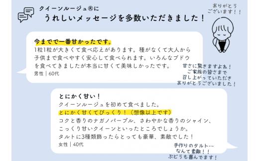 【家庭用】ぶどう2種セット（シャインマスカット／クイーンルージュ®）約2kg[TK36] ／ 2026年9月下旬～10月頃 配送予定//長野県 南信州 種なし 皮ごと 食べ比べ 詰め合わせ お試し 訳