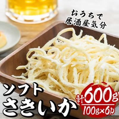 ふるさと納税 門川町 ソフトさきいか(100g×6パック・計約600g)