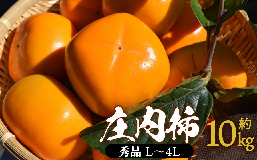 
            【令和8年産先行予約】 庄内柿 秀品 (L～4Lサイズ)  約10kg (5kg×2箱) (50～62個)　山形県鶴岡市産　株式会社 元青果
          