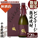 【ふるさと納税】＜数量限定＞ビンテージ熟成焼酎「伝 十年甕貯蔵 35度 vintage」(720ml×1本) 鹿児島本格芋焼酎！化粧箱入り！鹿児島 鹿児島特産 酒 焼酎 芋焼酎 数量限定 ギフト 贈答【林酒店】