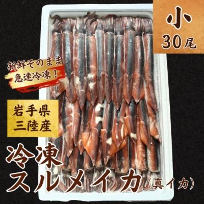 ふるさと納税 普代村 冷凍スルメイカ 小サイズ 30尾入り 鮮度抜群 急速冷凍 いか
