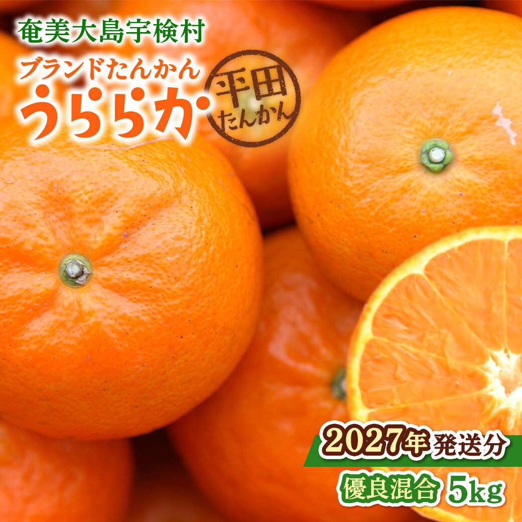 【ふるさと納税】【予約・数量限定※2027年発送分】完熟 ブランド たんかん 5kg L 2L サイズ 優品 良品 柑橘 みかん 国産 光センサー 果物 奄美のみかん 厳選 糖度10度以上 甘い 数量 期間 限定 鹿児島 プレゼント ギフト 家庭用 平田たんかん倶楽部 奄美 宇検村