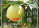 【ふるさと納税】【令和7年発送・先行予約】岡山県産　白桃（1玉250g以上）6玉　等級：ロイヤル　化粧箱入り　Gj-1