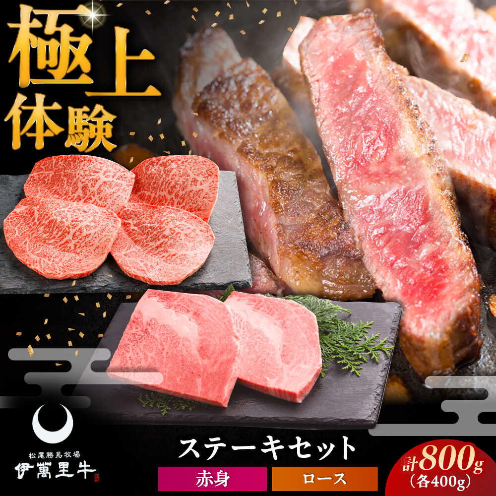【ふるさと納税】伊萬里牛ステーキセット / 赤身ステーキ 400g（100g×4枚）・ロースステーキ 400g（200g×2枚） / 伊万里牛 伊萬里牛 牛肉 ステーキ / 佐賀県 / まつお食肉卸株式会社 [41AECZ015]