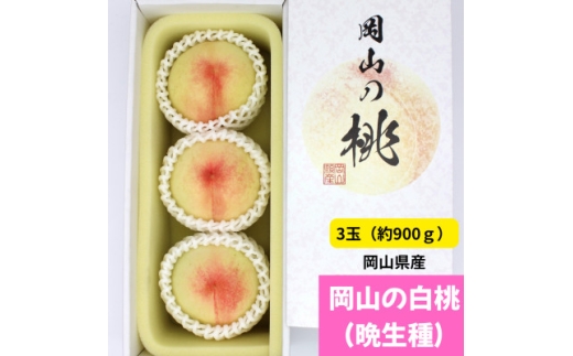 ＜先行受付＞岡山の白桃(晩生種)　大玉3玉(約900g)【1614303】