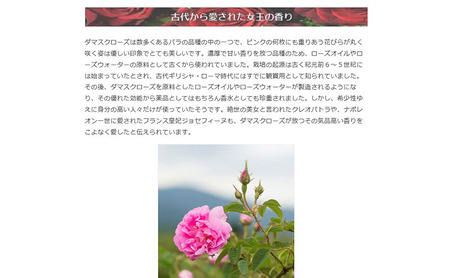 ブルガリアン ナチュラルローズウォーター 化粧水 美容 美容用品 美容グッズ ダマスクローズ ダマスクローズウォーター オーガニック ラステニエ ケア用品 ケアグッズ ボディケア 大阪 大阪府 岸和田