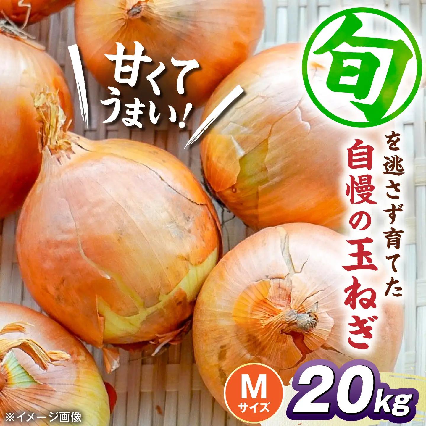 【先行予約】玉ねぎ20kg（Mサイズ）[AQDZ014]玉ねぎ