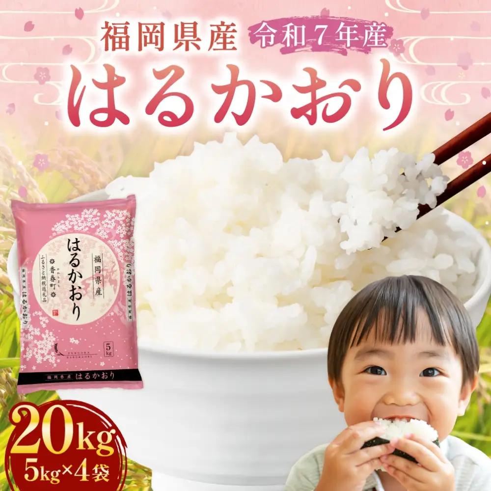 【令和7年産】はるかおり 精米 20kg  香春町 ／ ふるさと納税限定 ふるさと納税限定品 お米 米 白米 食品 ご飯 飯 九州 福岡県 香春町 令和7年産 令和7年