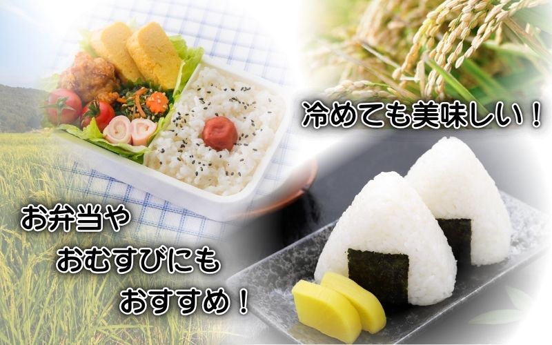 令和7年産 伊賀米コシヒカリ 10kg（6ヶ月連続）【jaig-tkb0002】