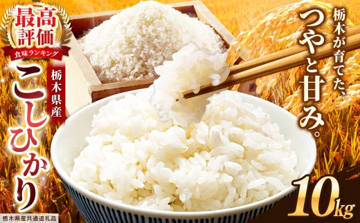 【栃木県共通返礼品】栃木県産コシヒカリ 白米 5kg×2P | コシヒカリ こしひかり コメ お米 米 白米 栃木県産 ご飯 飯 御飯 主食 kome 栃木県 那珂川町 送料無料