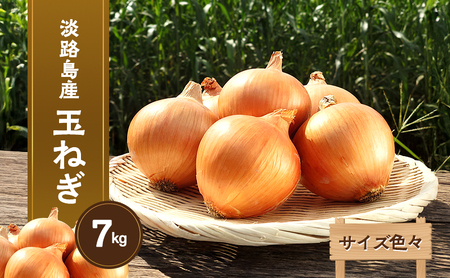 淡路島産玉ねぎ 7kg サイズ色々 野菜 淡路島産 玉ねぎ 玉葱 善太 兵庫県 洲本市 淡路島