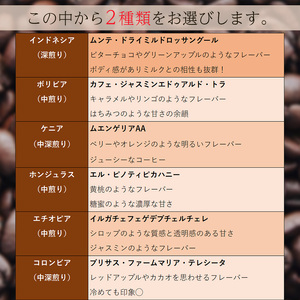 【スペシャルティコーヒー】マスターこだわりセレクト 5種ドリップコーヒー 15袋セット | コーヒー コーヒー コーヒー コーヒー コーヒー コーヒー 【KYW0011】