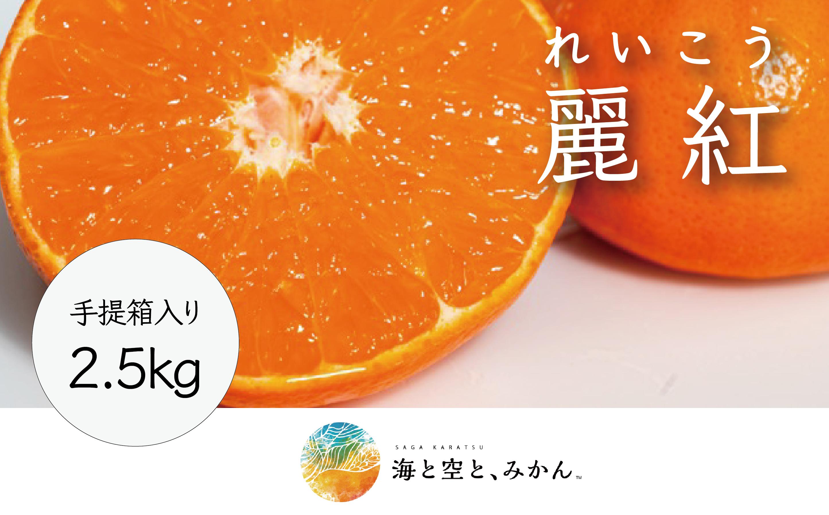 
            大場農園「麗紅」2.5kg 手提げ箱入
          