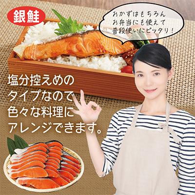 ふるさと納税 泉佐野市 主婦が選んだ 普段使いにおすすめセット(銀鮭 切り身 卵 野菜)【複数個口で配送】 099S015 |  | 01