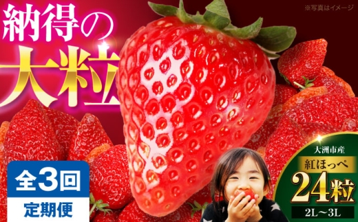 いちご【先行予約】【全3回定期便】いちご(紅ほっぺ)24粒 果物 くだもの フルーツ 野菜 やさい いちご イチゴ 苺 ストロベリー 大粒 大容量 甘い ジャム ケーキ タルト アレンジ こだわり 愛媛県産 大洲市産 産地直送 高級 ご褒美 贅沢 おすすめ 人気 お取り寄せ 送料無料 贈答 ギフト 愛媛県大洲市/有限会社西山青果 [AGAR017]