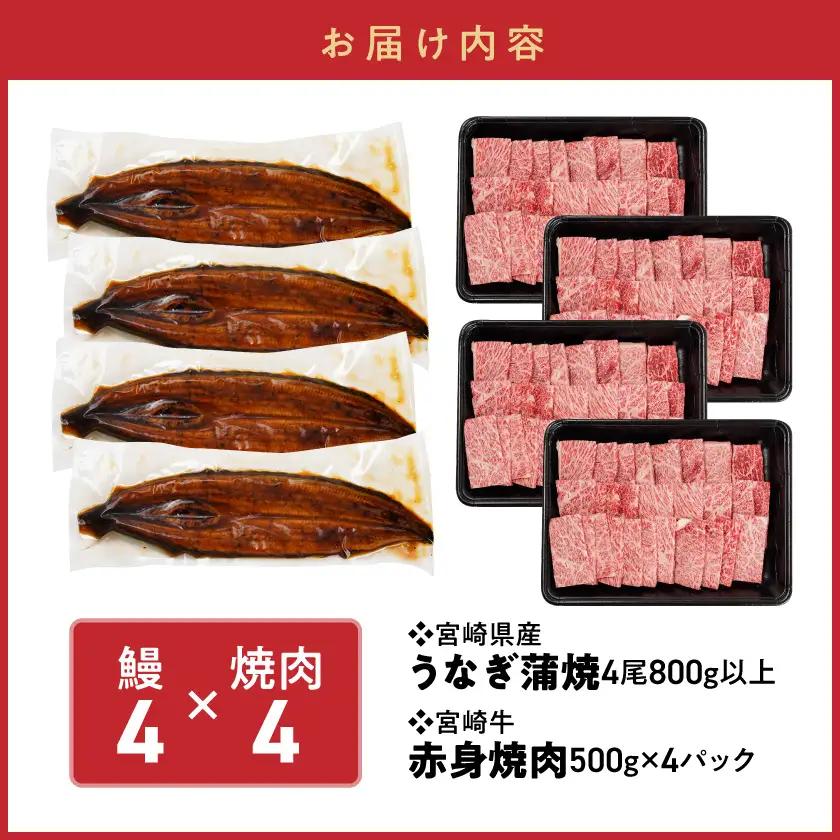 【丑の日】宮崎県育ちのうなぎ蒲焼4尾800g以上≪山椒・たれ付≫&宮崎牛赤身(ウデorモモ)焼肉500g×4パック≪7月20日～25日お届け≫〔64-MMUG800〕_(都城市) 
