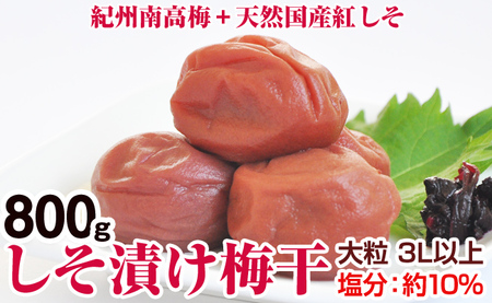 【0281-4】しそ漬け梅干（紀州南高梅）800g 大粒 3L以上 和歌山県産