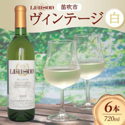 ふるさと納税 笛吹市 白ワイン Liaison リエゾン ヴィンテージ 720ml×6本 日川中央葡萄酒 山梨県 笛吹市