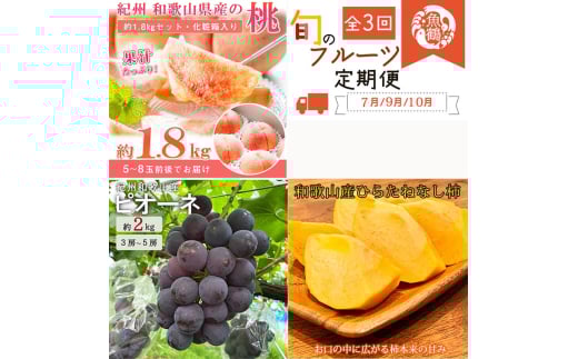 〈定期便〉【7・9・10月 全3回】紀州和歌山産旬のフルーツセット(桃・ピオーネ・ひらたねなし柿) ｜フルーツ ふるーつ 果物 くだもの 詰め合わせ 果物定期便 もも ぶどう かき 国産 産地直送 美浜町　※離島への配送不可