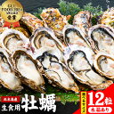 【ふるさと納税】牡蠣 生食 用 かき Emperor Oyster 生食用 12粒 選べる Sサイズ Mサイズ 袋入り 木箱入り 勇和水産《45日以内に出荷予定(土日祝除く)》岡山県 笠岡市 送料無料 北木島産 かき カキ 牡蠣 生牡蠣 冷凍 お取り寄せ グルメ