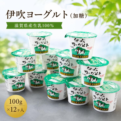 伊吹ヨーグルト（加糖）100g×12ヶ入 乳製品 加工食品