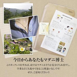 もう離さない！マダニネックレス ｜ ネックレス
