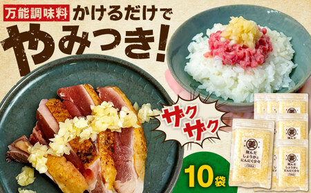 刻んだしょうがとにんにく少々（80g×10袋） / 薬味 調味料 馬刺し たたき / 佐賀県 / 有限会社乃市商店 [41AHDB004]