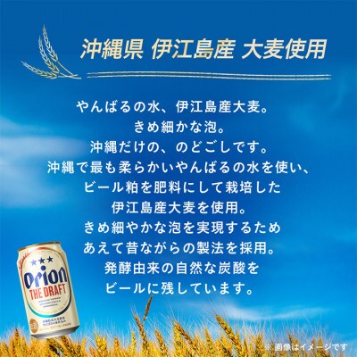 【沖縄県共通返礼品・オリオンビール】オリオン ザ・ドラフト(350ml×12本)