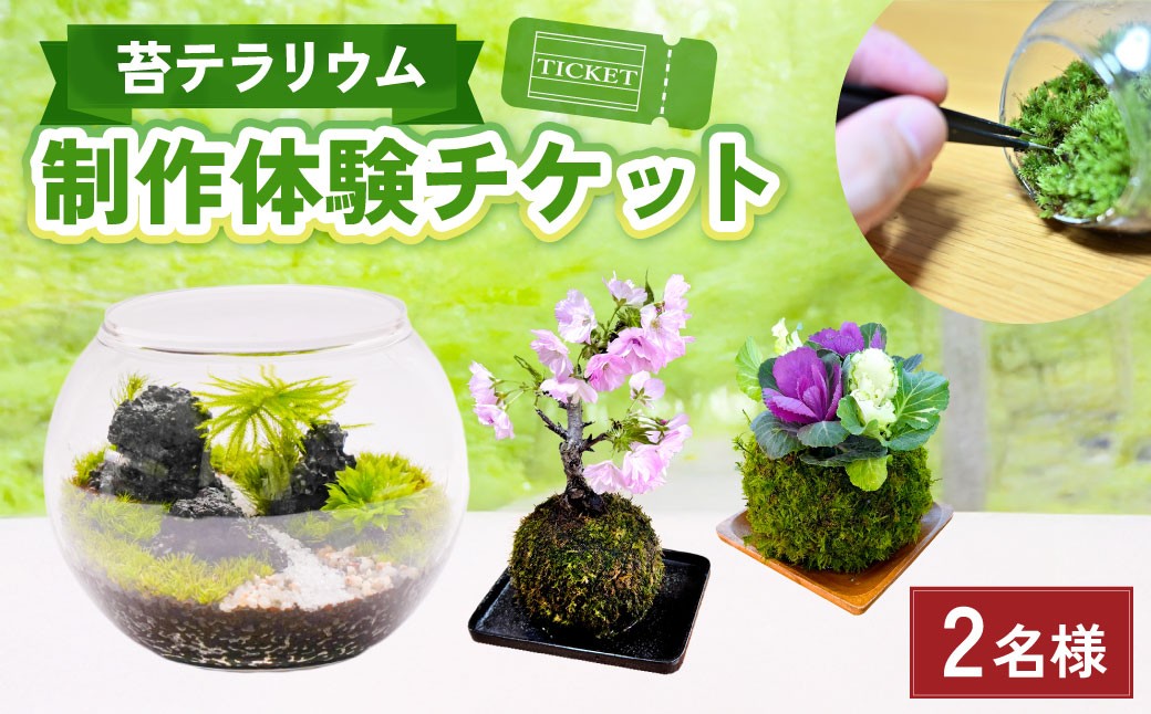 
            苔テラリウムの制作体験チケット ペアチケット 苔玉 ワークショップ 苔 コケ 植物 
          