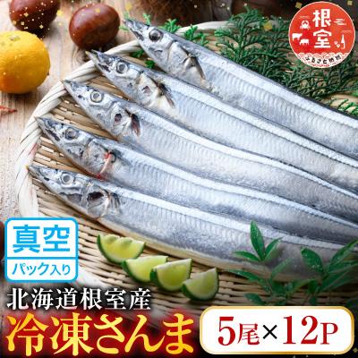 ふるさと納税 根室市 【北海道根室産】冷凍さんま60尾 D-36002