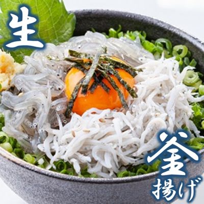【ふるさと納税】 しらす 生しらす 釜揚げ セット 440g 各2パック 国産 釜揚げしらす 国産しらす シラス sirrus じゃこ 小分け 海鮮 魚 魚介 小魚 ごはん 丼 サラダ トースト ピザ おにぎり 弁当 栄養 カルシウム 米 贈答 冷凍 江の島 江ノ島 とびっちょ 神奈川 湘南 藤沢