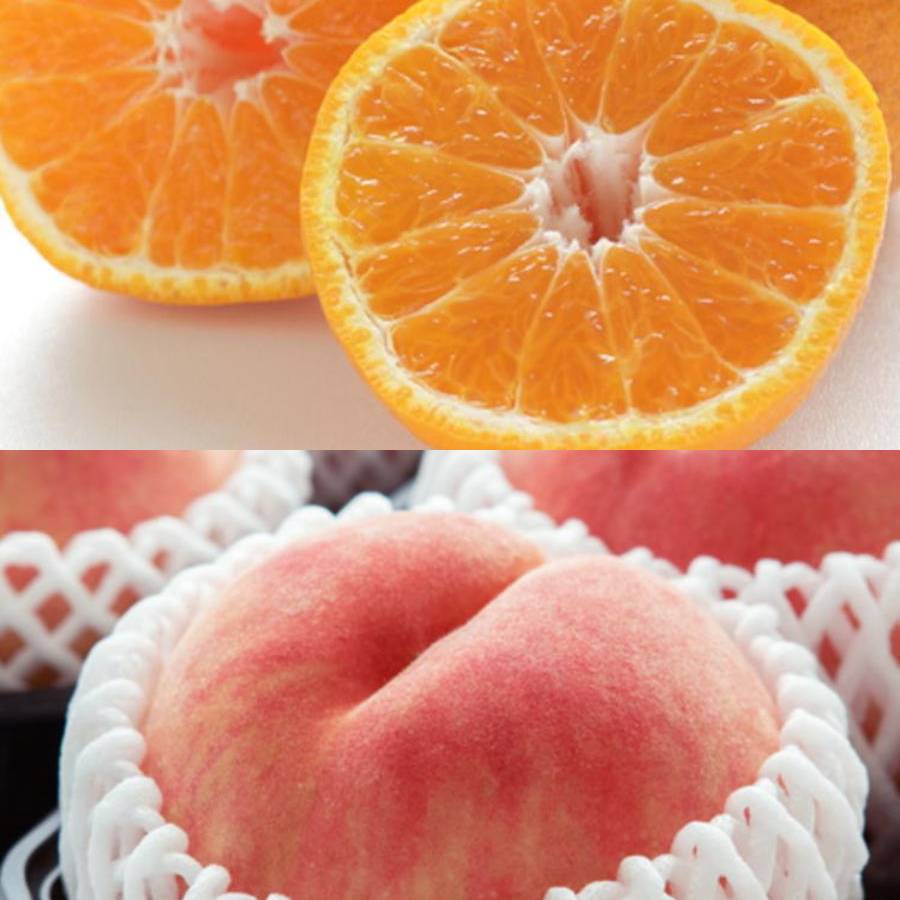 和歌山県産”秀品”「旬の果物」（マンゴー入）【６回定期便】