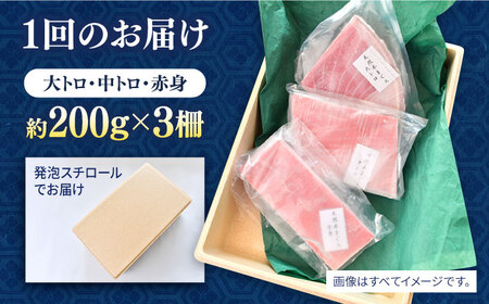 【全6回定期便】天然 まぐろ 大トロ・中トロ・赤身（約200ｇ×3柵）約600ｇ 鮪 マグロ 魚 刺身 横須賀【横須賀商工会議所 おもてなしギフト事務局（本まぐろ直売所 横須賀本店）】 [AKAK08
