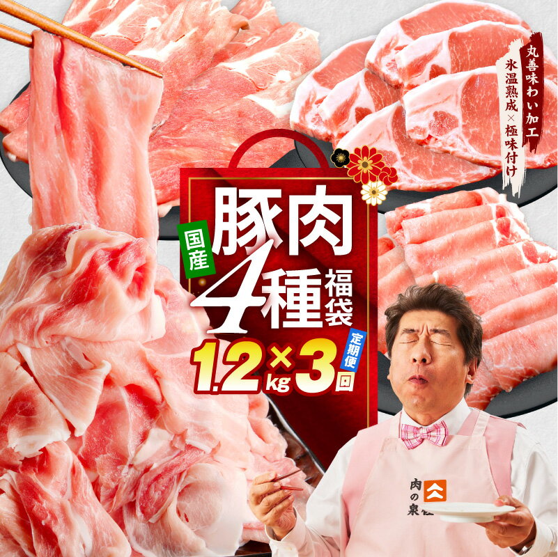 【ふるさと納税】国産 豚肉 4種 福袋 合計 1.2kg 定期便 切り落とし ロースステーキ ももスライス ローススライス 小分け 訳あり 丸善味わい加工 大阪府 泉佐野市 送料無料 肉の泉佐野 氷温熟成豚 熟成肉 氷温熟成 作り方 ふるさと納税オリジナル 限定
