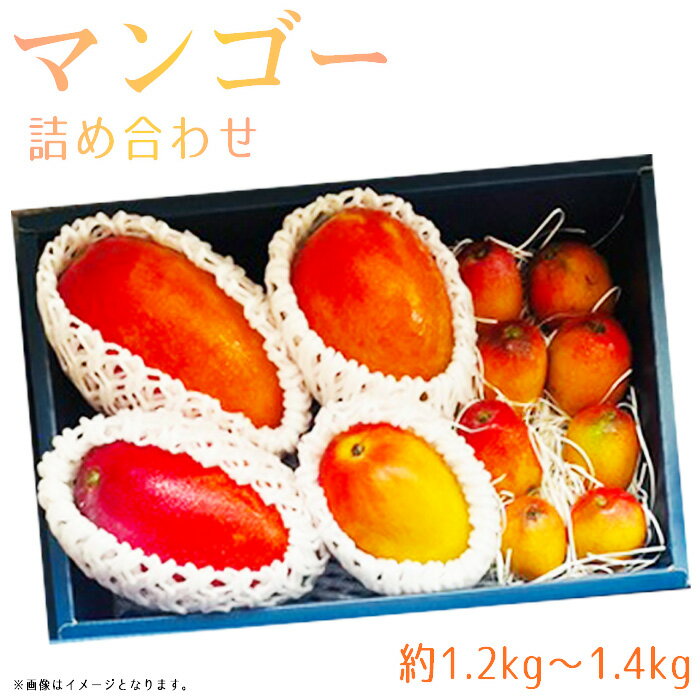 【ふるさと納税】No.375 名もなきマンゴー詰め合わせ約1.2～1.4kg　大きさ不揃い ／ フルーツ 果物 化粧箱 満足 送料無料 大阪府