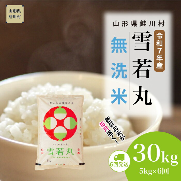 【ふるさと納税】＜令和7年産米＞ 鮭川村 雪若丸 【無洗米】 定期便 30kg （5kg×1ヶ月間隔で6回お届け）＜配送時期選べます＞