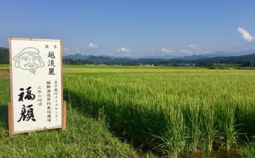 ＜限定＞ 福・福セット720mlx2本 日本酒 大吟醸 本醸造 飲み比べセット 新潟県 [福顔酒造] 【012S131】