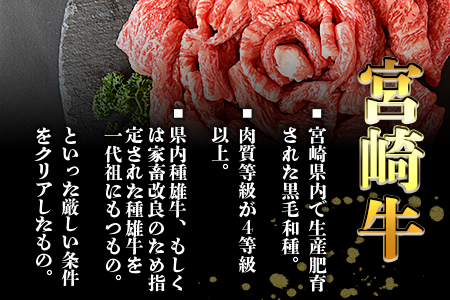 ★すきしゃぶ用 牛肉★＜宮崎牛 外モモ 赤身 スライス 500g+100g（合計600g）＞翌月末迄に順次出荷【 牛 肉 牛肉 和牛 牛肉 黒毛和牛 牛肉 モモ 牛肉 すき焼き 牛肉  しゃぶしゃぶ 
